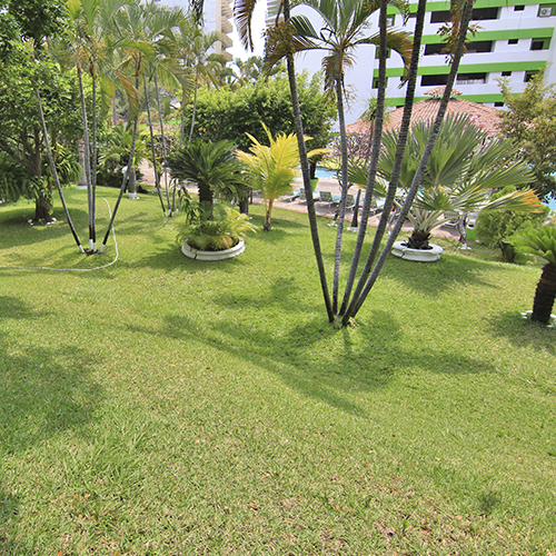 Area verde  hotel tortuga acapulco