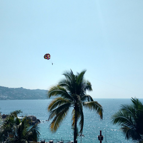 Vista bahía hotel tortuga acapulco